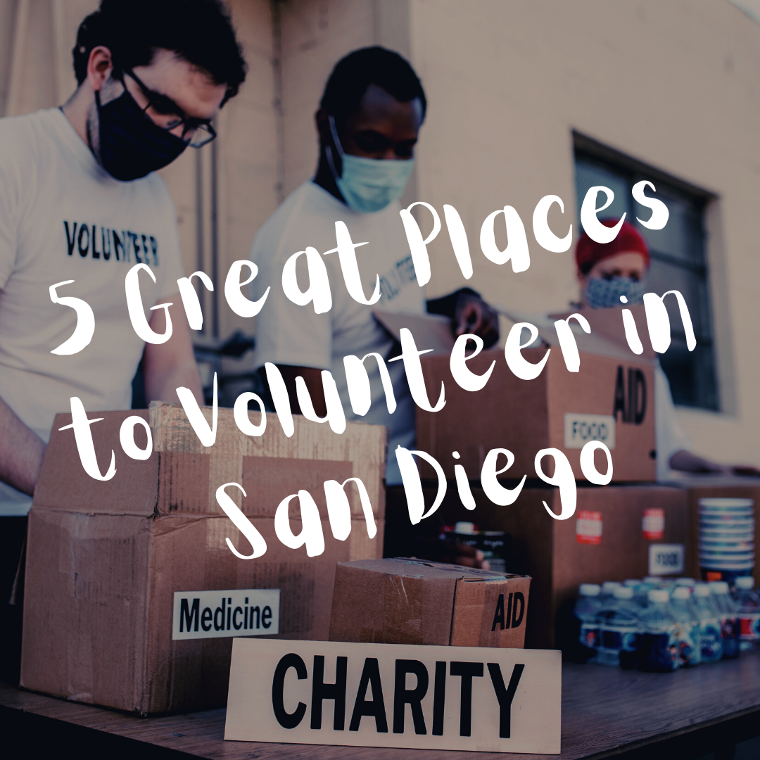 5 Great Places to Volunteer in San Diego