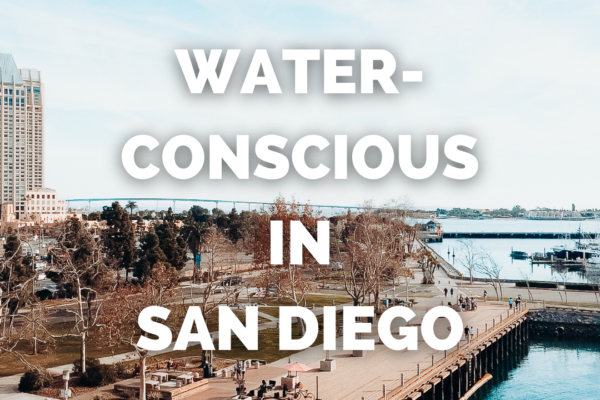 Why Being Water Conscious in San Diego Matters